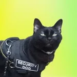 Аватар канала Блог CISO