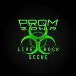 Аватар канала PROM ZONA 🎸