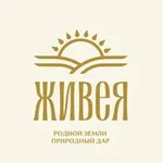 Аватар канала ЖИВЕЯ 🌱 Масла холодного отжима