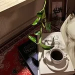 Аватар канала الهُدَى