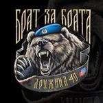 Аватар канала Дружина - Русский Щит