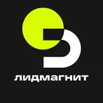 Аватар канала Лидмагнит 🧲 Новости