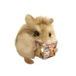 Аватар канала катастрофі 🐹