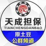 Аватар канала 天成公群频道