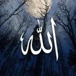 Аватар канала 🌴 روح الولاية 🌴