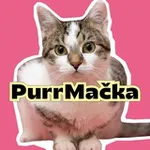 Аватар канала PurrMačka