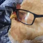 Аватар канала EatBloodChicken(18+)
