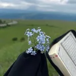 Аватар канала نـورُ بـيت النبـوةِ.