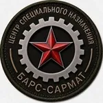 Аватар канала "БАРС-САРМАТ" Центр специального назначения (добровольческий, беспилотных систем)