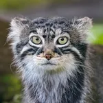 Аватар канала AB photos