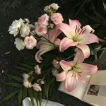 Аватар канала june