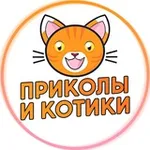 Аватар канала Приколы и Котики