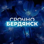 Аватар канала Срочно Бердянск ‼️