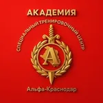 Аватар канала АКАДЕМИЯ