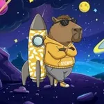 Аватар канала Ton Capybara