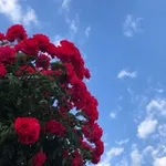 Аватар канала غيث غيمة ⛈