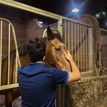 Аватар канала ﮼ ◝♯ۿۿوآجـيـس
