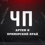 Аватар канала ЧП Артём l Новости Приморья и Артема