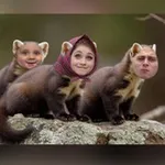 Аватар канала Куница – это зверёк 🦦