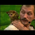 Аватар канала Zoocom Club