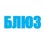 Аватар канала БЛЮЗ | Илья Васильев