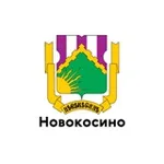 Аватар канала Новокосино