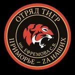 Аватар канала Жизнь «Тигров»