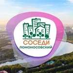 Аватар канала СОСЕДИ Ломоносовский