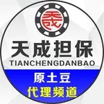 Аватар канала 天成代理（原土豆代理频道）
