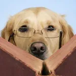 Аватар канала Information Retriever