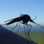 Аватар канала Долго будет Карелия сниться