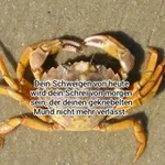 Аватар канала Ostseekrabbe