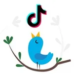 Аватар канала Twitter и TikTok