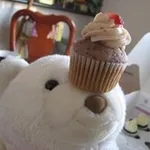 Аватар канала finn