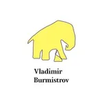 Аватар канала Burmistrov - It и около