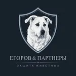 Аватар канала "Егоров и партнеры права животных "