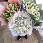 Аватар канала Тюльпаны•Балашиха•Москва•М.О