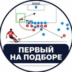 Аватар канала Первый на подборе | Михаил Ласкин