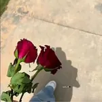 Аватар канала ﮼شَـهـد،الـزروٌق .