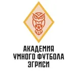 Аватар канала Академия Умного Футбола Эгриси