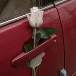 Аватар канала красные запчасти