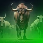 Аватар канала توفان سیگنال بورسی