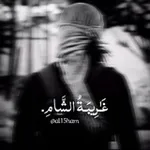 Аватар канала غَـٰرِيبَـةُ الشَّامِ