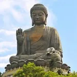 Аватар канала 🌿 Vipassana Yatra 🧘‍♂️
