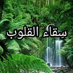 Аватар канала ✨ سِقاء القلوب ✨