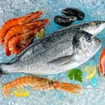 Аватар канала Рыба Темрюк /"РЫБНЫЙ"/ 🐟