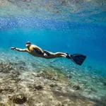 Аватар канала 🐬 Школа Фридайвинга имени Н. Молчановой