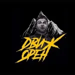 Аватар канала DVIZH ORENBURG