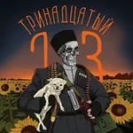 Аватар канала Тринадцатый.