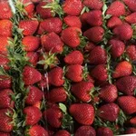 Аватар канала ФРУКТЫ ОВОЩИ ВИДНОЕ